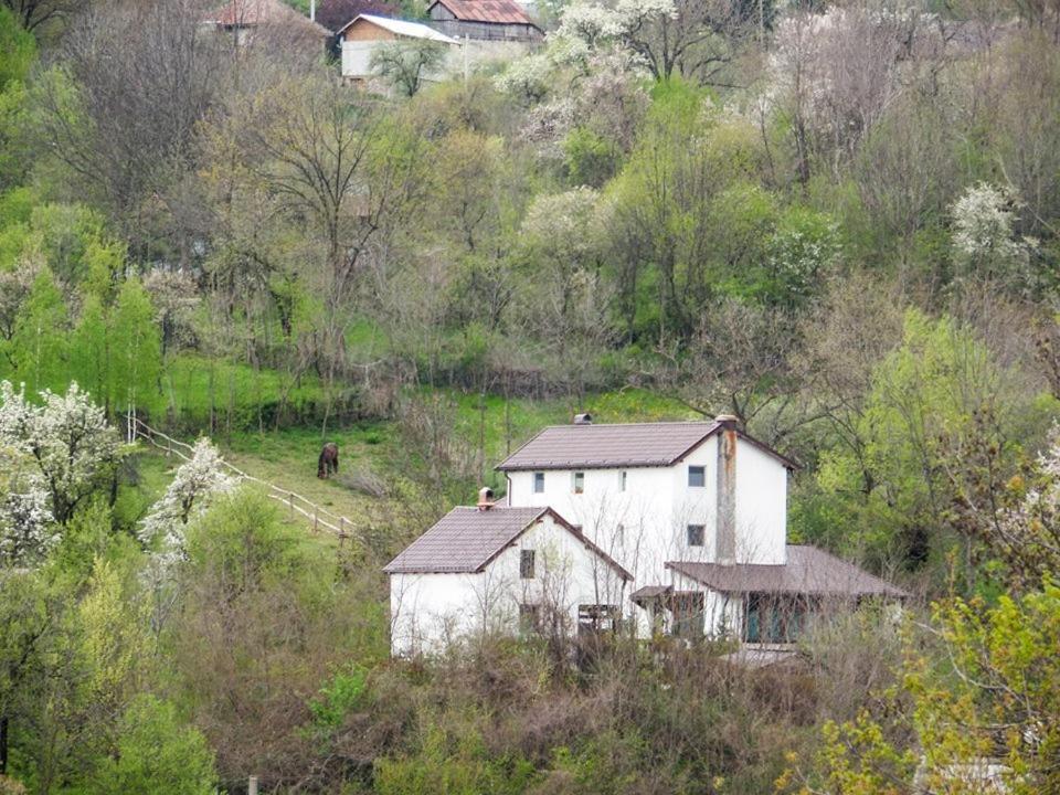 Casa Piscul Lupului Villa Pucioasa Exterior photo